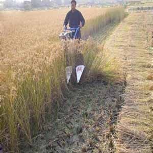  New Design Rice Reaper	