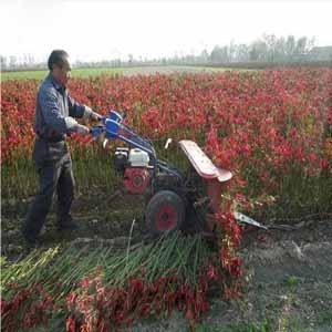  New Design Rice Reaper	