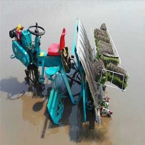  Ride Type Rice Seeding Transplanter	