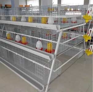  A Type Chicken Brooding Cage	