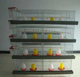  H Type Chicks Brooding Cages	