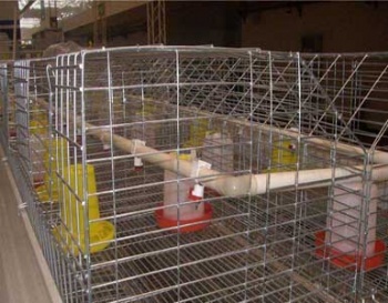  H Type Chicks Brooding Cages	