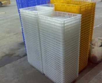 Plastic Transport Cages