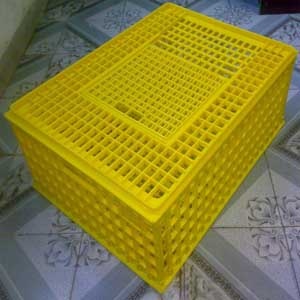  Plastic Transport Cages	