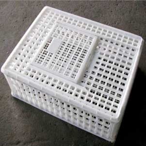  Plastic Transport Cages	