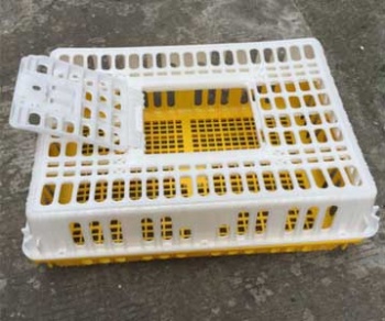  Plastic Transport Cages	