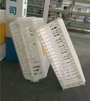  Plastic Transport Cages	