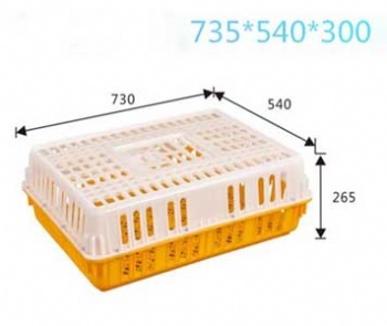  Plastic Poultrny Transport Cages For Chicken	