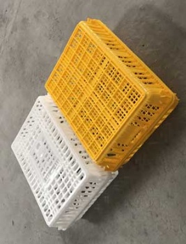  Plastic Poultrny Transport Cages For Chicken	