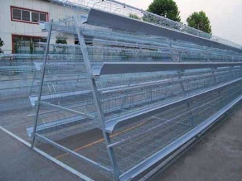  A Type Layer Chicken Cage	