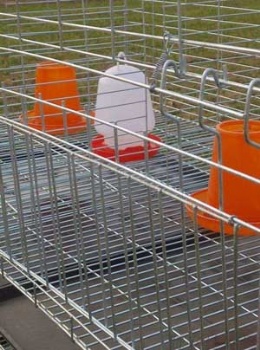  A Type Chicken Brooding Cage	